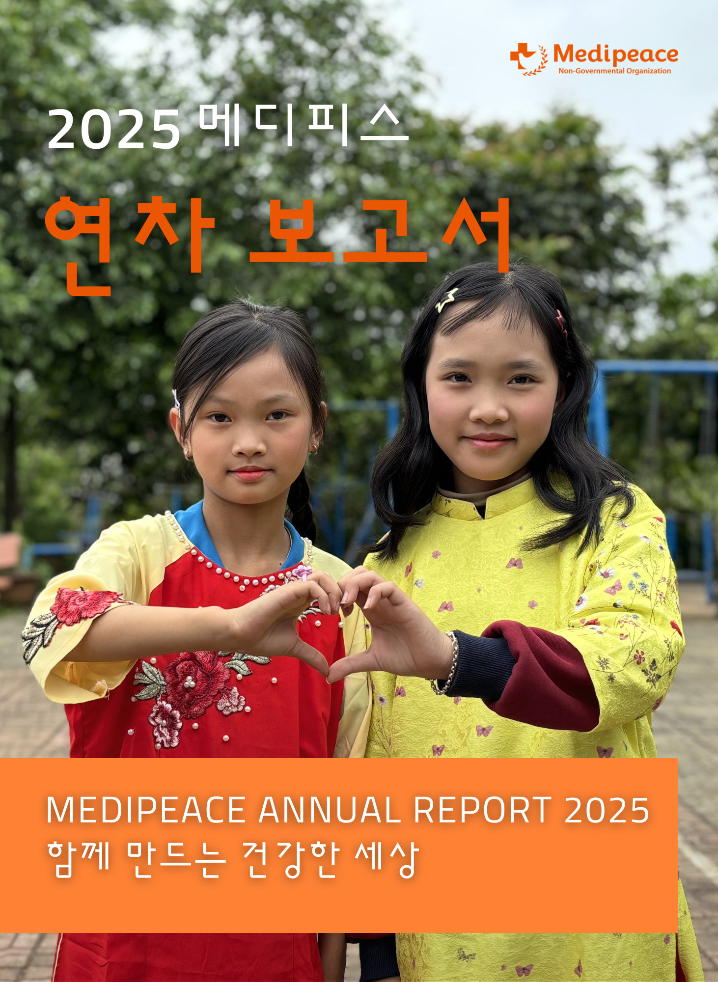 2025 메디피스 연차보고서